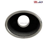 سر اگزوز ریموس گرد