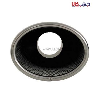 سر اگزوز ریموس گرد