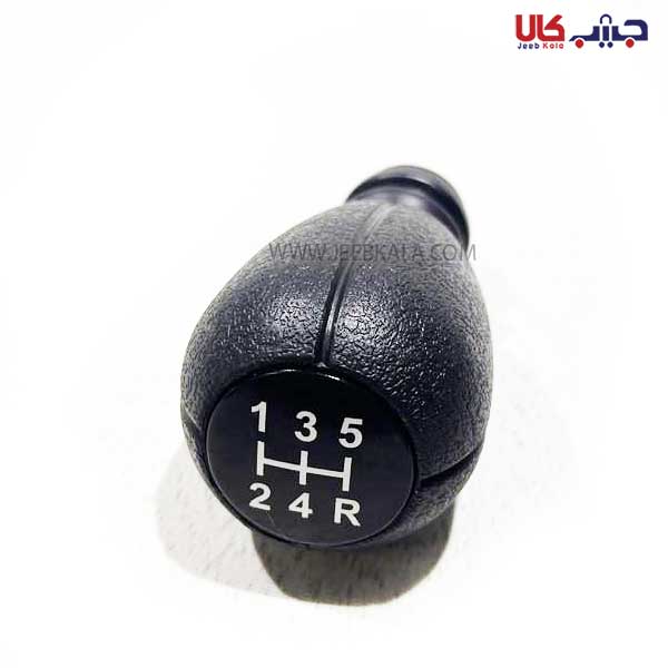 4804334-min سر دنده زانتیا