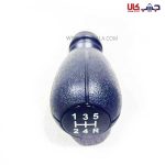 سر دنده زانتیا